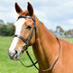 Kincade Classic Flat Hunt Bridle With Reins #colour_brown