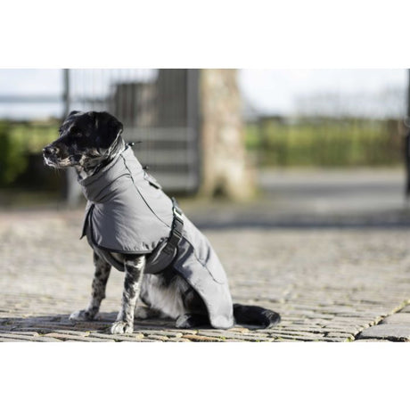 HKM Dog Coat With Fleece Lining -Buddy- #colour_deep-grey