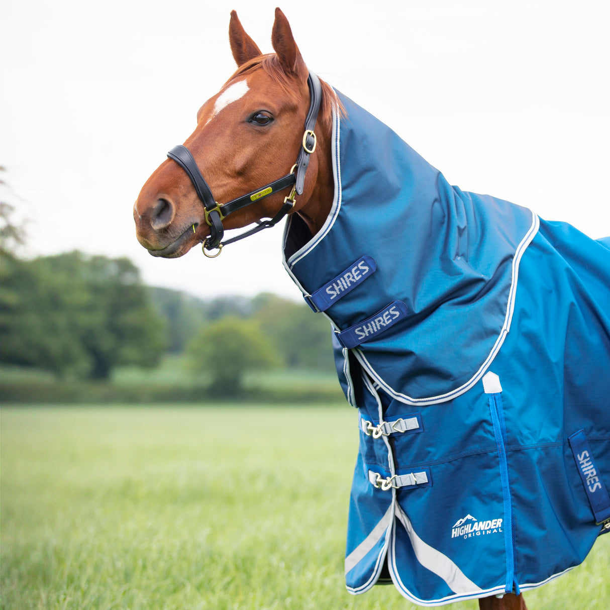 Shires Highlander Original 200g Turnout Neck Cover #colour_blue