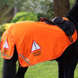 Shires EQUI-FLECTOR Mesh Exercise Sheet #colour_orange