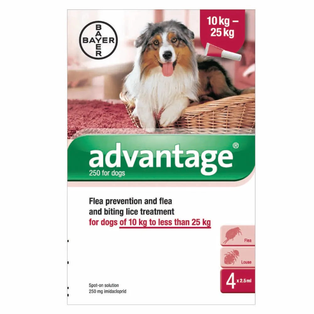 Advantage Spot-On Solution - 250: For Dogs #colour_dogs