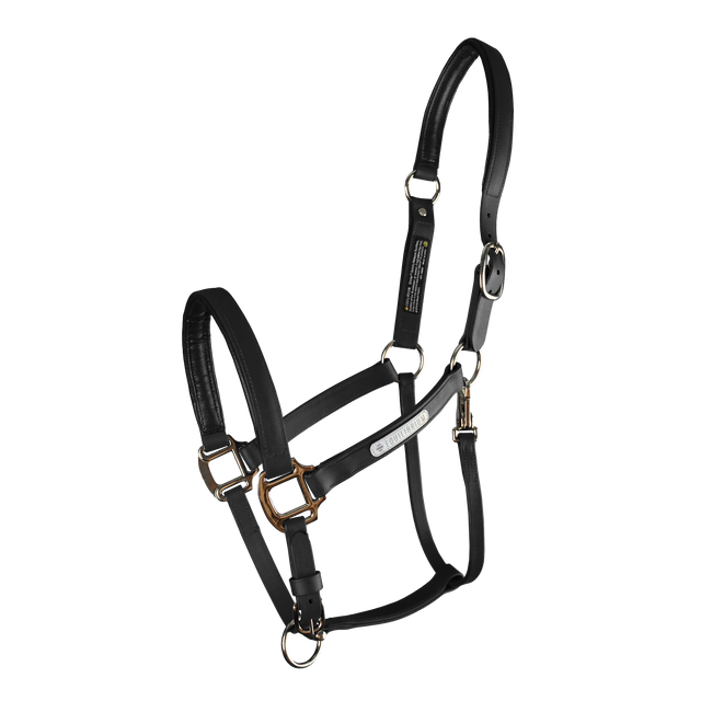 Equilibrium Stellar All-Weather Safety Headcollar #colour_black