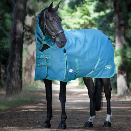 Weatherbeeta Green-Tec 1200D Detach-A-Neck Medium Turnout Rug #colour_dragonfly-blue-bottle-green