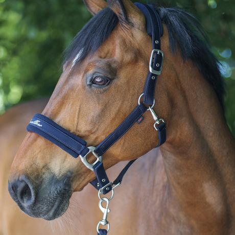 Covalliero Padded Headcollar #colour_dark-navy