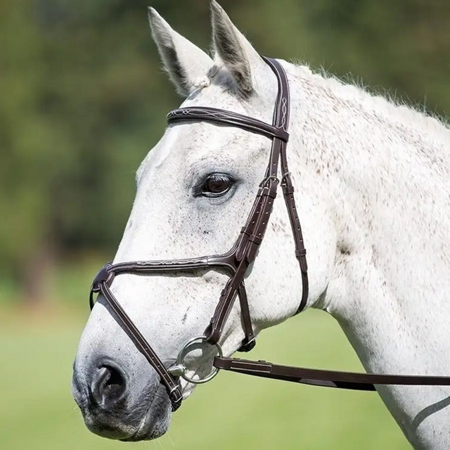 Shires Avignon Grackle Bridle #colour_havana