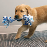 KONG Puppy Rope 