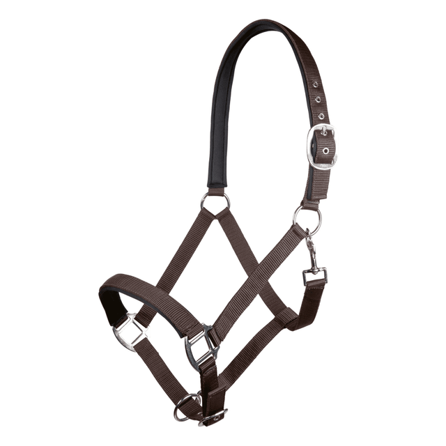 HKM Charming Head Collar #colour_brown