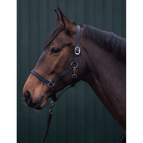 HKM Innsbruck Head Collar #colour_deep-blue